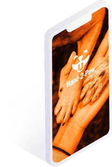 Hands2Paws app splash screen on a phone